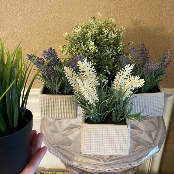 Faux Plants Lot of 5 Lavender in Ceramic Square Pots - Picture 8 of 11